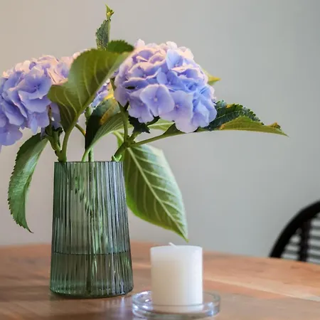 Im Markthof * إرفورت